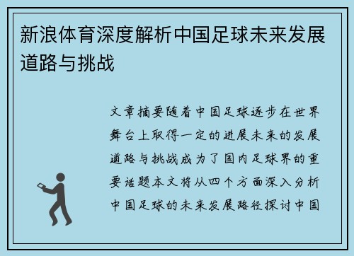 新浪体育深度解析中国足球未来发展道路与挑战